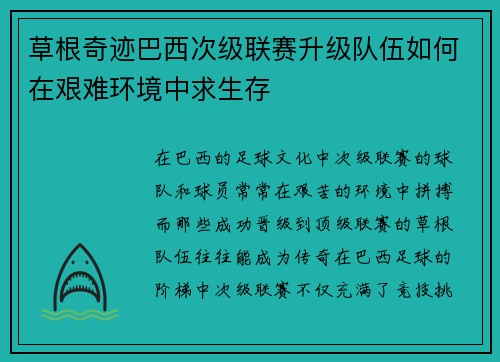 草根奇迹巴西次级联赛升级队伍如何在艰难环境中求生存
